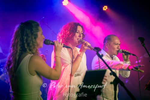 The Dance Classics Experience – The Soultrain live!