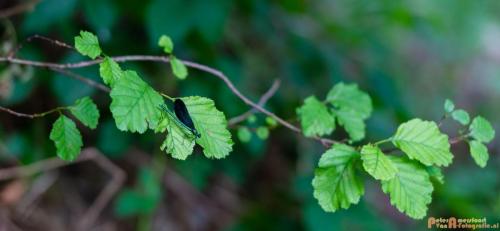 2018-08-06 08 Vakantie Dld met M4 195