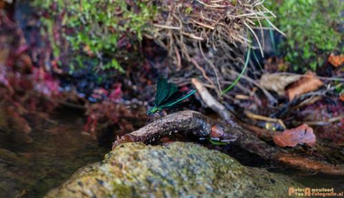 2018-08-06 08 Vakantie Dld met M4 196