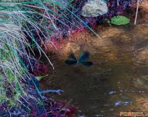 2018-08-06 08 Vakantie Dld met M4 197