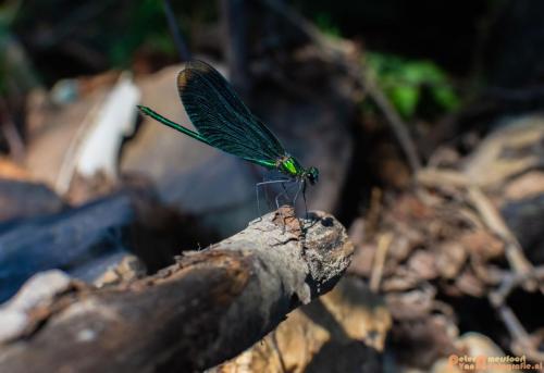 2018-08-06 08 Vakantie Dld met M4 198