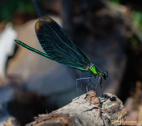 2018-08-06 08 Vakantie Dld met M4 199