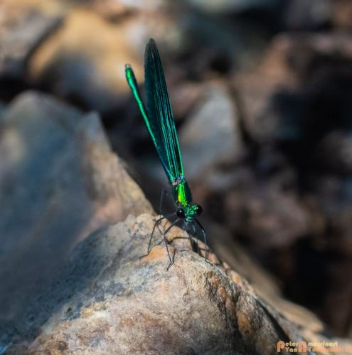 2018-08-06 08 Vakantie Dld met M4 201