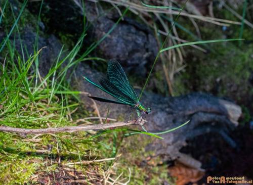 2018-08-06 08 Vakantie Dld met M4 202