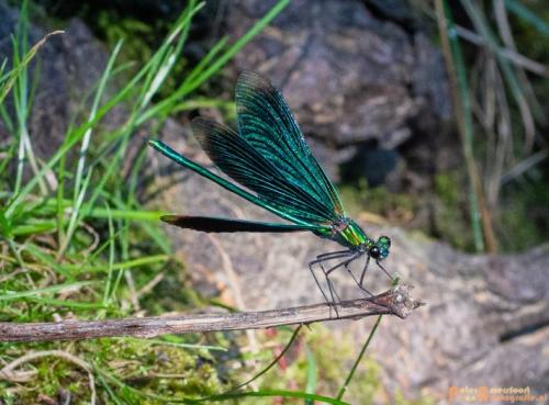 2018-08-06 08 Vakantie Dld met M4 203