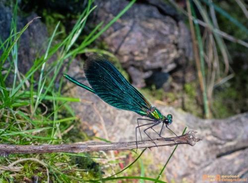 2018-08-06 08 Vakantie Dld met M4 204