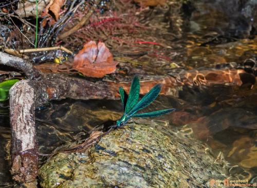 2018-08-06 08 Vakantie Dld met M4 205