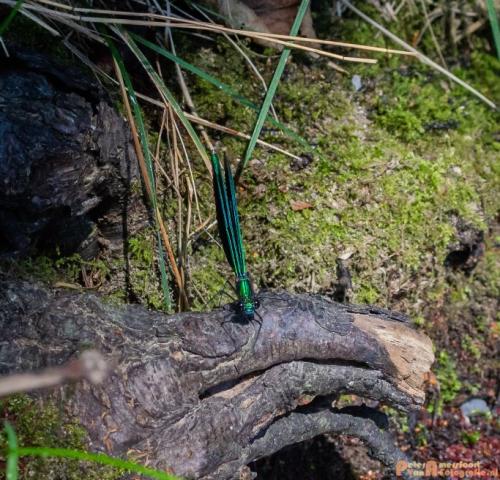 2018-08-06 08 Vakantie Dld met M4 206