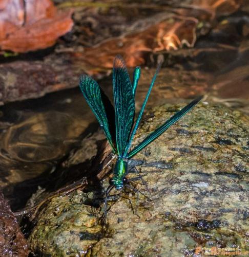 2018-08-06 08 Vakantie Dld met M4 207