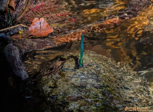 2018-08-06 08 Vakantie Dld met M4 208