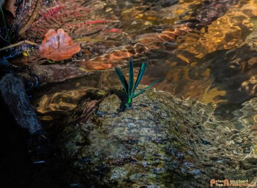 2018-08-06 08 Vakantie Dld met M4 209