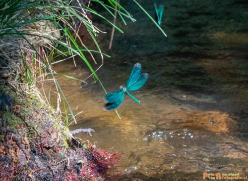 2018-08-06 08 Vakantie Dld met M4 210