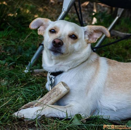 2018-08-06 08 Vakantie Dld met M4 213