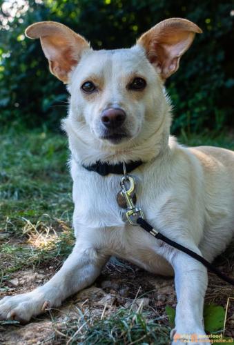 2018-08-06 08 Vakantie Dld met M4 216