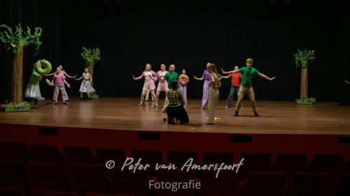Vaye Musicalschool - Eindpresentatie Amphion Musical