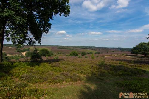 2017-08-07 Rondje Posbank 08