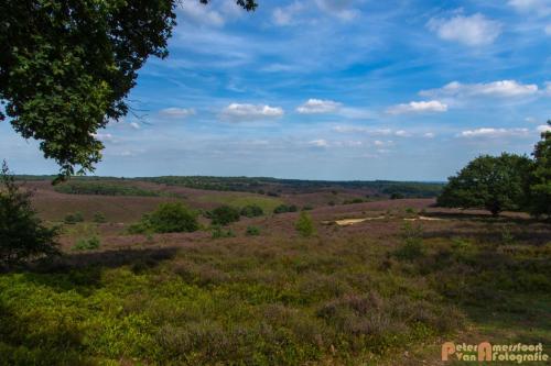 2017-08-07 Rondje Posbank 10