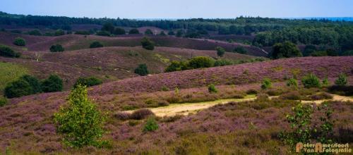 2017-08-07 Rondje Posbank 11