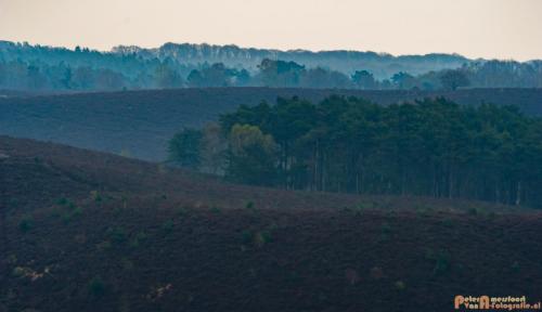 2018-04-11 Herikhuizerveld 016