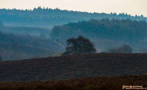 2018-04-11 Herikhuizerveld 018