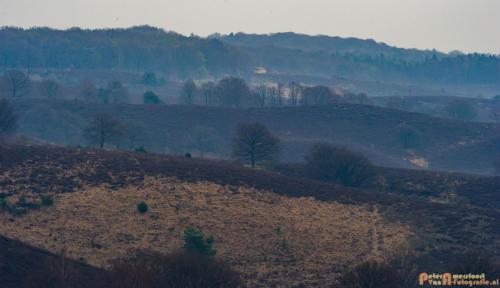 2018-04-11 Herikhuizerveld 023