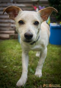 2017-07-23 Verjaardag P&M-15