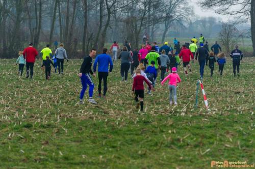 2018-03-04 Vink Baggerloop 015