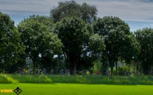 2017-06-11 Relatiedag Vink - NK Wielrennen-146