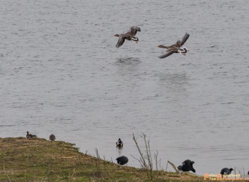 2018-04-09 De Jezuiten Waai 017