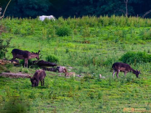2018-06-06 WOP Herikhuizen 008