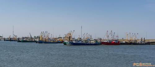 2018-05-26 Vink PV Wadlopen 008