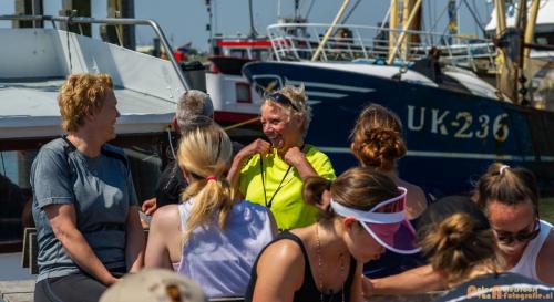 2018-05-26 Vink PV Wadlopen 011