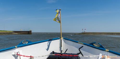 2018-05-26 Vink PV Wadlopen 012