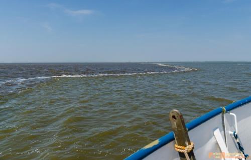 2018-05-26 Vink PV Wadlopen 014