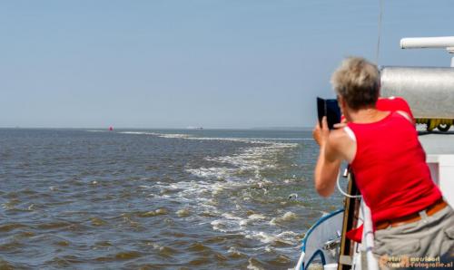 2018-05-26 Vink PV Wadlopen 015