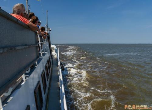 2018-05-26 Vink PV Wadlopen 016