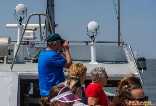 2018-05-26 Vink PV Wadlopen 018