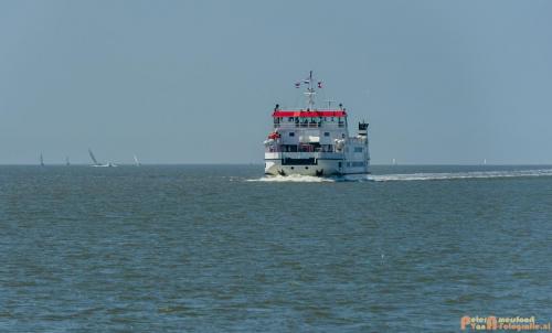 2018-05-26 Vink PV Wadlopen 021