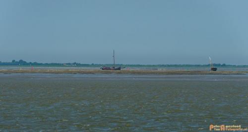 2018-05-26 Vink PV Wadlopen 022