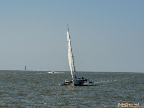 2018-05-26 Vink PV Wadlopen 026