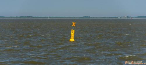 2018-05-26 Vink PV Wadlopen 028