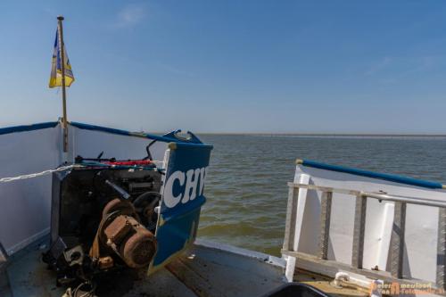 2018-05-26 Vink PV Wadlopen 032