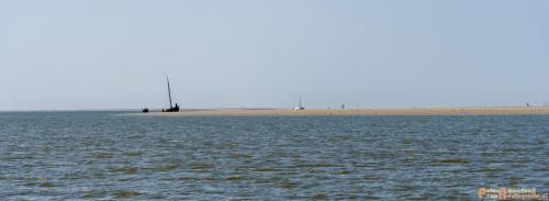 2018-05-26 Vink PV Wadlopen 033