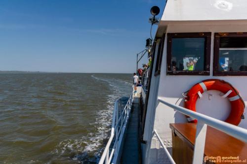 2018-05-26 Vink PV Wadlopen 034