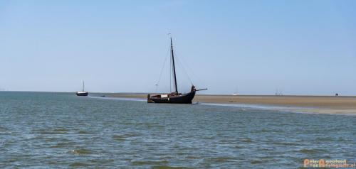 2018-05-26 Vink PV Wadlopen 037