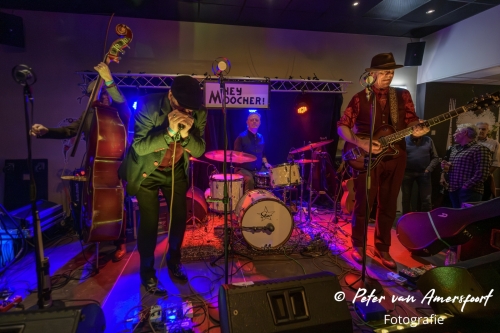 33e Westendorp Bluesnight