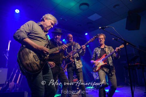 34e Westendorp Bluesnight