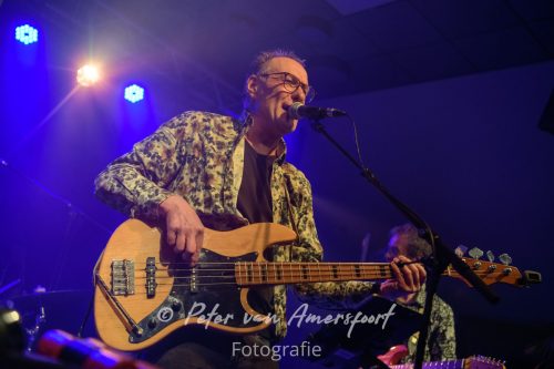 34e Westendorp Bluesnight