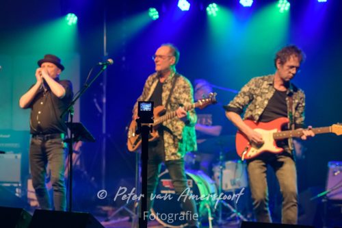 34e Westendorp Bluesnight