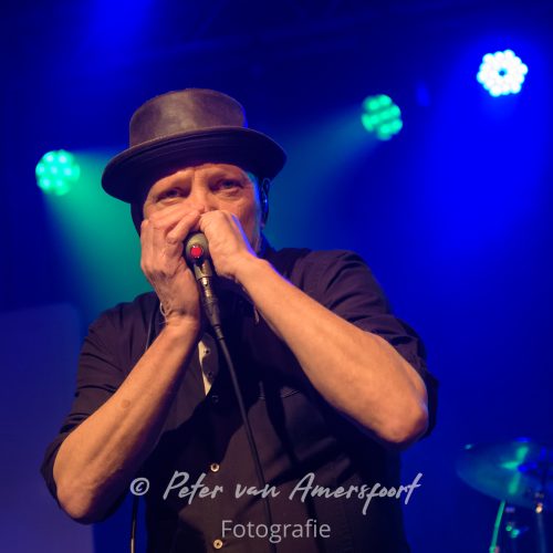 34e Westendorp Bluesnight